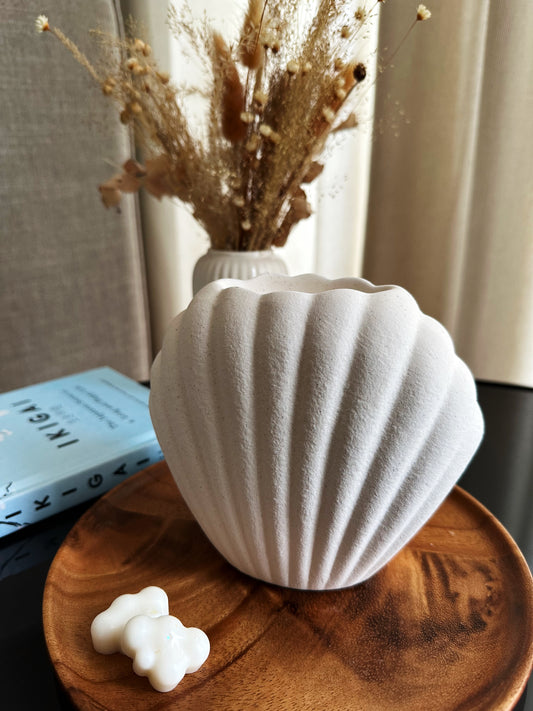Seashell - Wax Melt Burner