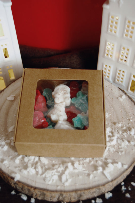 Christmas! - Wax melts