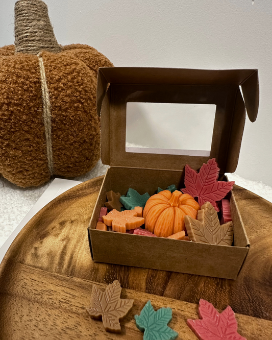 Autumn Walks - Wax melts [Leaf shape]